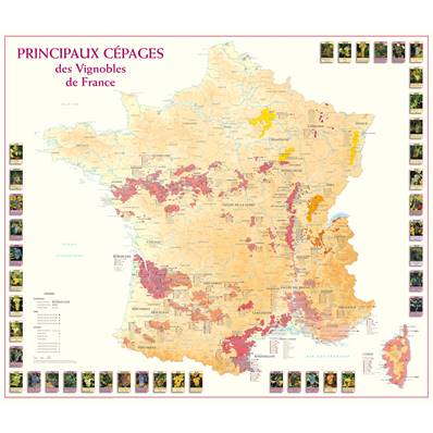 Carte des Principaux Cépages des Vignobles de France